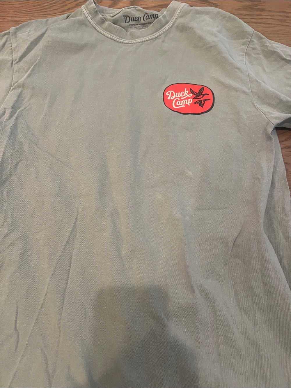 Duck Camp Men's Long Sleeve Crew in Sage Green with Red Logo
